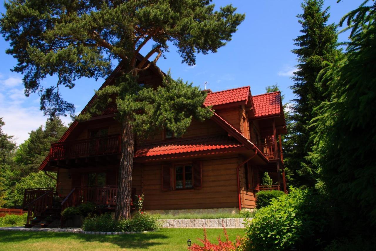 Willa Nad Popradem Bed and Breakfast Piwniczna-Zdroj Eksteriør billede